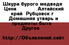 Шкура бурого медведя › Цена ­ 40 000 - Алтайский край, Рубцовск г. Домашняя утварь и предметы быта » Другое   